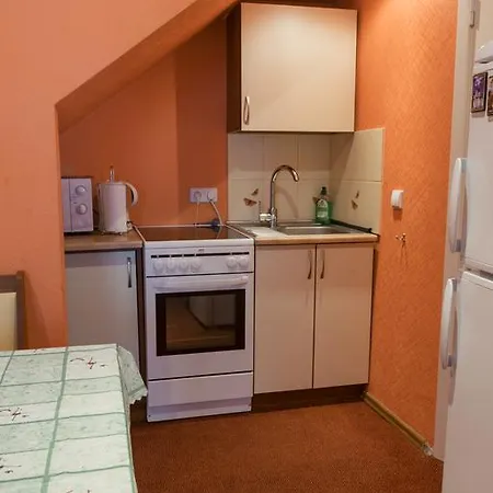 Apartament Dabintos Druskieniki